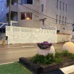 WhatsApp Image 2023-02-19 at 11.06.41 (1)